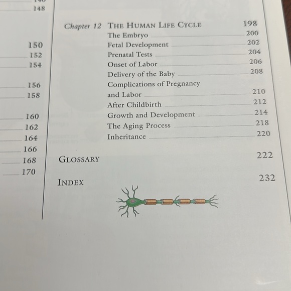 DK Hardcover Nonfiction Book: The Human Body Illustrated Guide 1995 EC - Picture 9 of 11